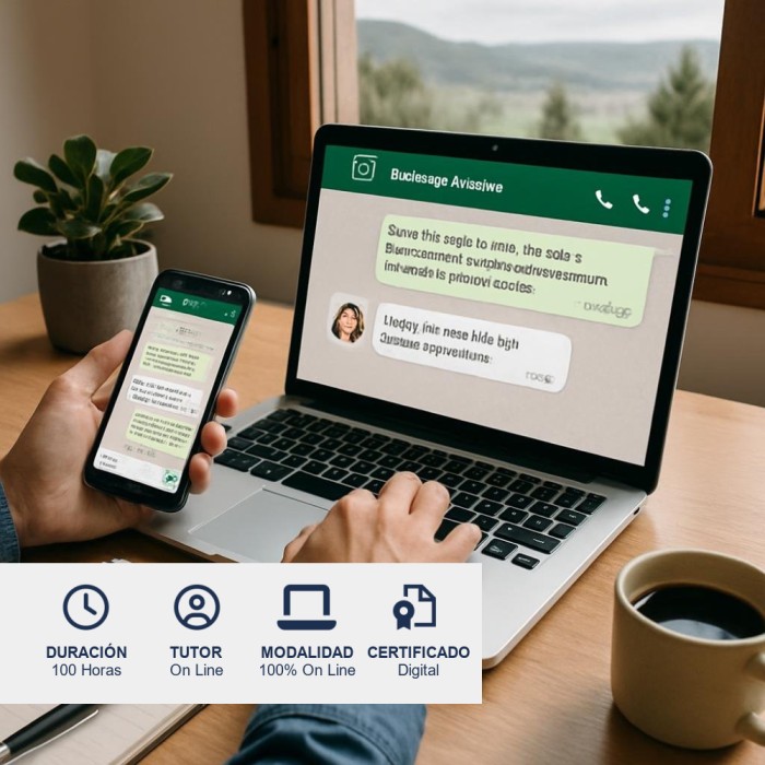 Curso de Ventas por WhatsApp Business